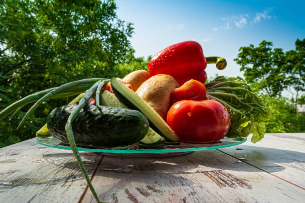 istock Different vegetables with water drops on a plate on a wooden table in nature background. 1325557525