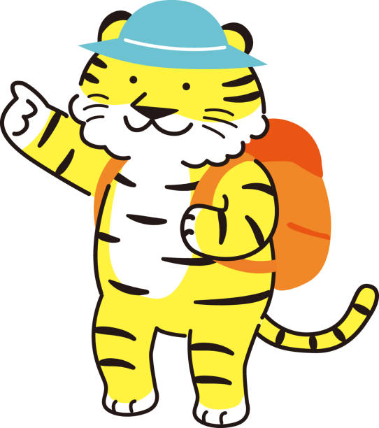 tygrys niosący plecak i kapelusz i wskazujący na niego (materiał na kartę noworoczną 2022, tygrys) - tiger pointing vector cartoon stock illustrations