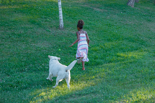 African-American Cheerful Little Girl is Having a Lot of Fun With her Little Dog in a Meadow Field in Nature.