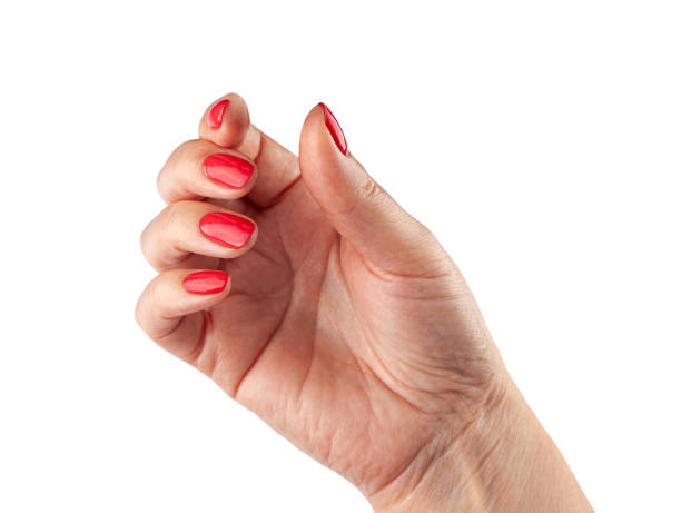 istock Female hand isolated on white background 1325562977