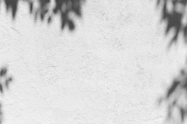 istock Concrete wall with shadows of plant. 1325567214