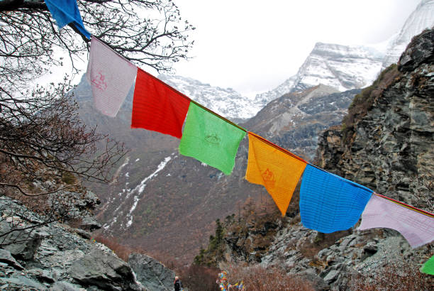 Nature scene landscape of snow mountain with tibetan flags at Yading Nature Reserve Park go to see Milk lake on the top of mountain , Daocheng County, Sichuan China hikes to epic mountains paisaje de la escena de la naturaleza de la montaña de nieve con banderas tibetanas en el parque de la reserva natural de yading ir a ver el lago milk en la cima de la montaña, condado de daocheng, sichuan china caminatas a las montañas épicas