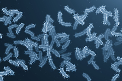 Bacteria , germ infection. flowing blue bacteria cells background 3d illustration