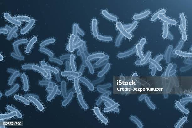 Bacteria Germ Infection Stock Photo - Download Image Now - Legionella Pneumophila, Tuberculosis Bacterium, Shigella