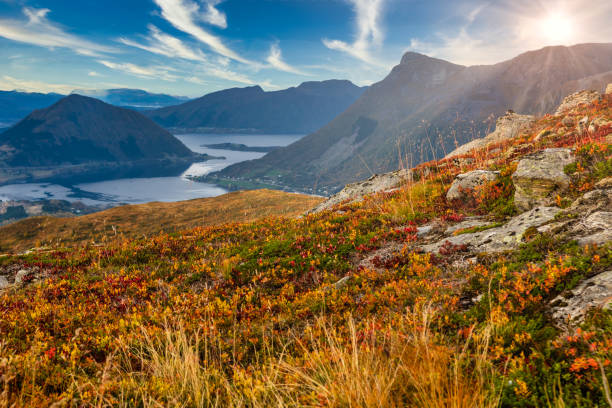 10月の黄金、ノルウェーの秋、オルスタ州ヴォルダ近郊の青空とサンフレア - lofoten scandinavian norway nature ストックフォトと画像