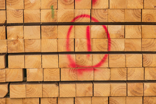 istock Building timber piled up in the material storage area 1325575826
