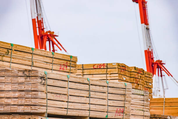 istock Building timber piled up in the material storage area 1325575846