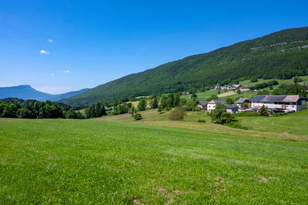 istock Spring mountain landscape in the alps with green pastures 1325576097