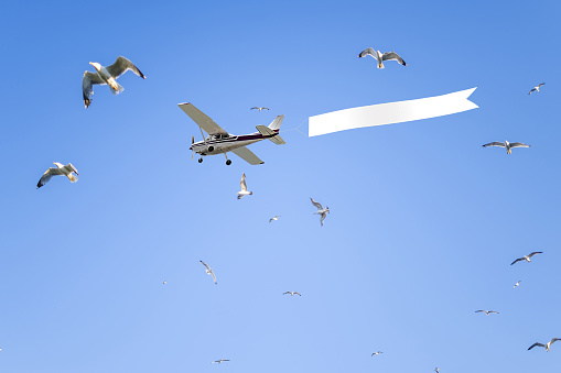 Airplane with banner against seagulls