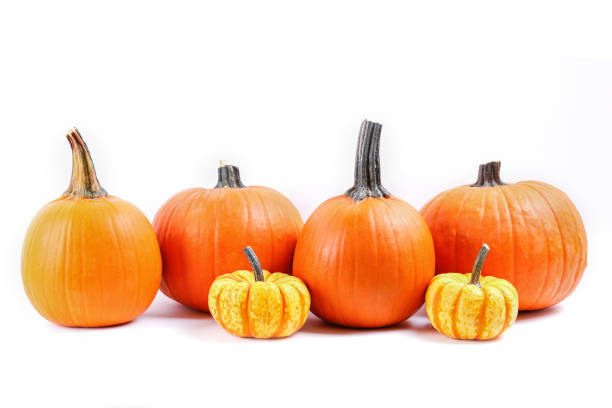 istock Studio shot of pumpkin. 1325579707