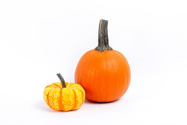 istock Studio shot of pumpkin. 1325579746
