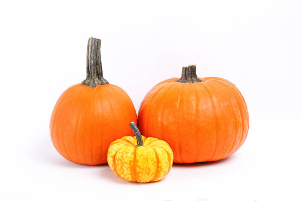 istock Studio shot of pumpkin. 1325579805
