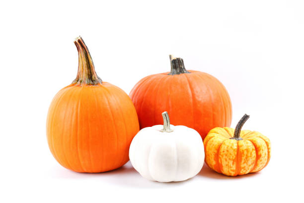 istock Studio shot of pumpkin. 1325579816
