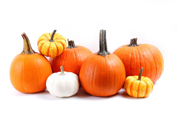 istock Studio shot of pumpkin. 1325579830
