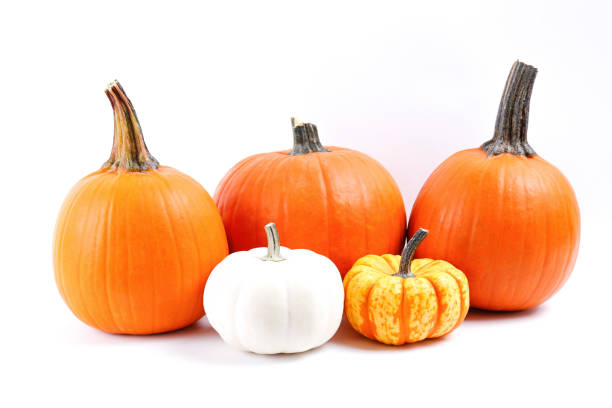istock Studio shot of pumpkin. 1325580391