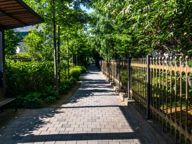 istock walkway with the cool shade of trees 1325581289