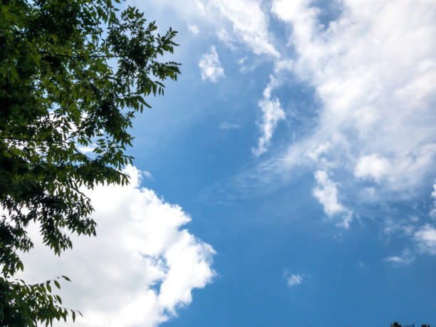 istock blue sky with white clouds and green leaves 1325581362