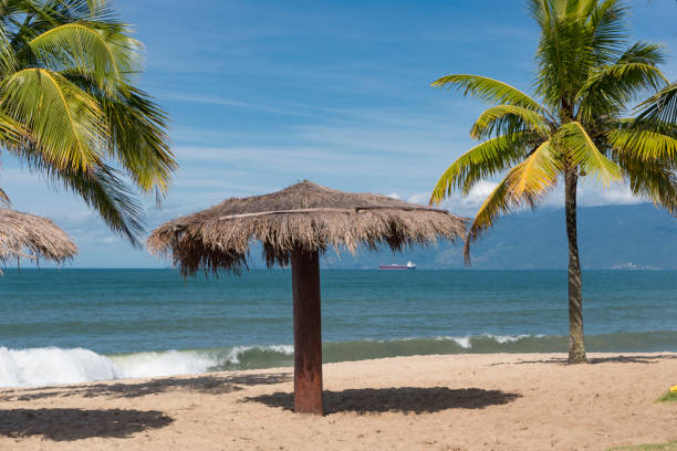 istock Caraguatatuba - Brazil 1325582569