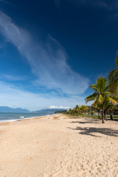 istock Caraguatatuba - Brazil 1325583505