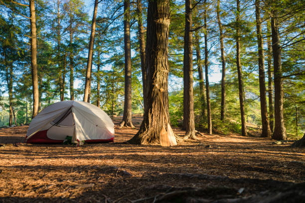 istock Morning in Beautiful Campsite 1325583612
