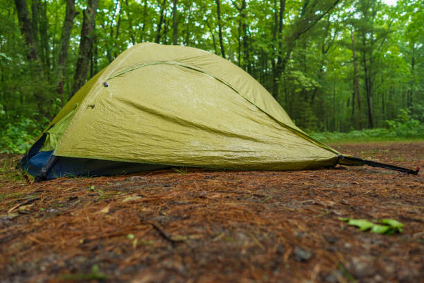 istock Two Person Tent in Forest 1325584375