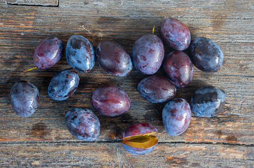 Fruits of prunus domestica tree on vintage wooden surface background in daylight, tasty ripened dark blue plums