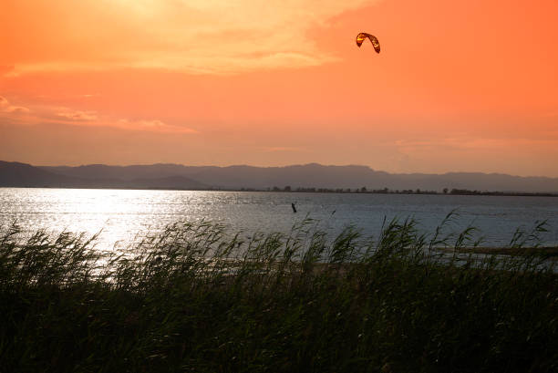Ebro delta landscape. Beautiful sunset in the Ebro Delta Natural Park