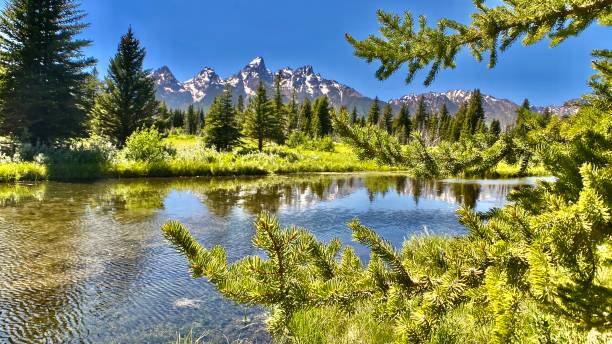 istock reflections of the teton mountain range on the snake river 1325584676