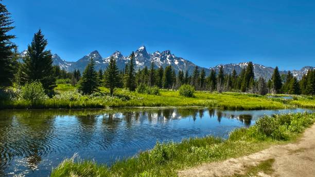 istock reflections of the teton mountain range on the snake river 1325584677