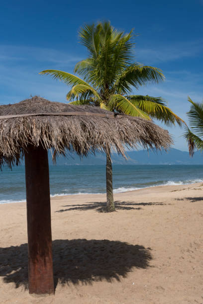 Caraguatatuba - Brazil