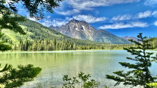 istock relaxing at lake string, wyoming 1325585824