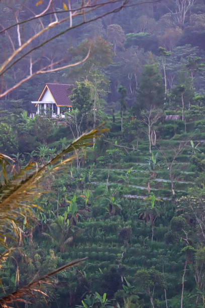 istock Little house in the mountain 1325585945