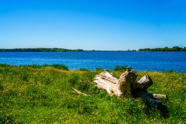 Landscape in a national park in the Netherlands