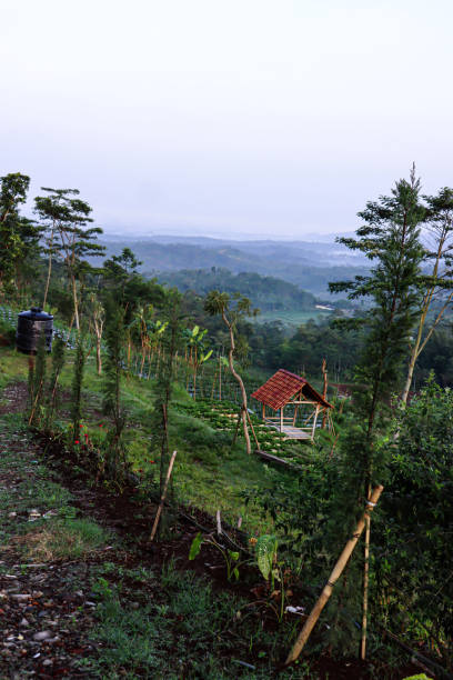 istock Little house in the mountain 1325586735