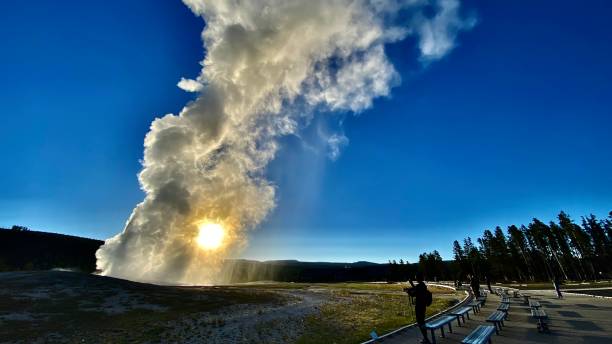 istock old faithful geyser eruption at dawn - wide angle view 1325587059
