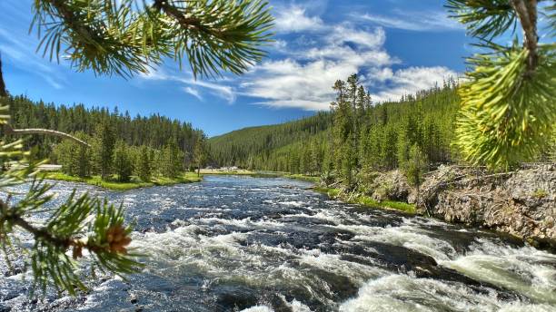 potężna rzeka yellowstone z kaskadami - mighty zdjęcia i obrazy z banku zdjęć