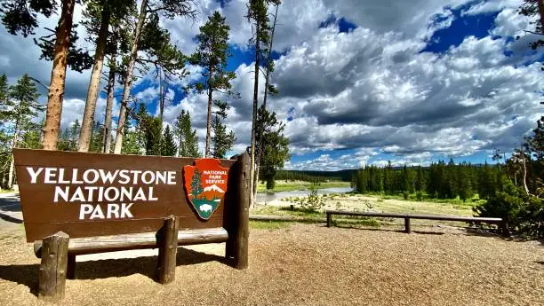 driving in yellowstone national park - cody, wy - usa