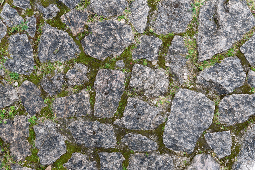 Moss and Stone Texture for Background. cobble way.
