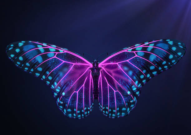 renderização 3d de neon brilhante mágico e vista de borboleta inspiradora fluorescente - butterfly net - fotografias e filmes do acervo