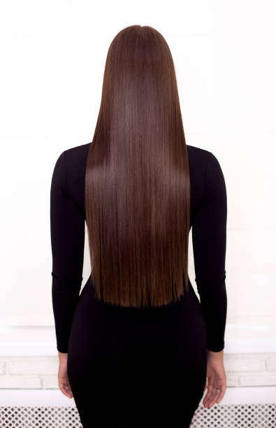 Female back with long straight brunette hair Female back with long straight brunette hair in hairdressing salon long hair stock pictures, royalty-free photos & images