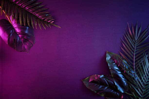 istock Moody contemporary illuminated night background with copy space and tropical palms in a vibrant retro style 1325592056