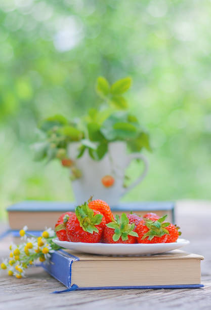istock book and strawberries on table in the garden 1325593189