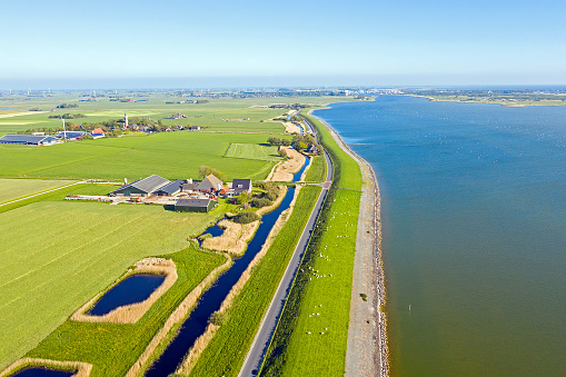 Aerial from a typical dutch landscape in the countryside from the Netherlands: sheep, flat landscape and water