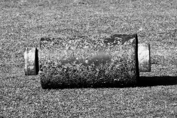 Iron roller on a grass ground unique stock photo