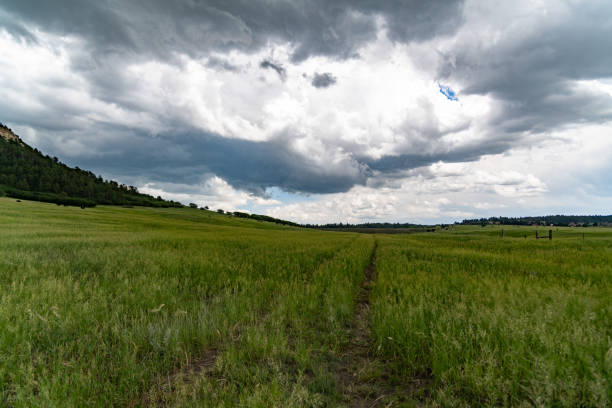 Wild thunderstorm and hail up ahead 1/4 mile. This is Colorado prairie northeast of Monument, Colorado in western USA. Nearest larger town is Colorado Springs, Colorado. Hail was falling heavily just 1/4 mile ahead. John Morrison - Photographer
