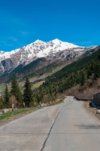 istock Mount Tetnuldi rises above the Great Caucasian Range in the upper Svaneti 1325595516