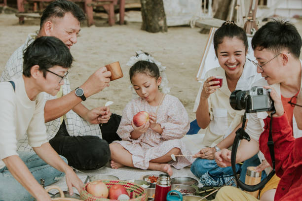 happy thai family have lunch with their own tiffin for zero waste in picnic time - stock photo - lunch box box old green imagens e fotografias de stock