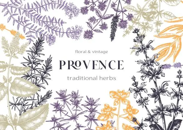 Vector illustration of Provence herbs design