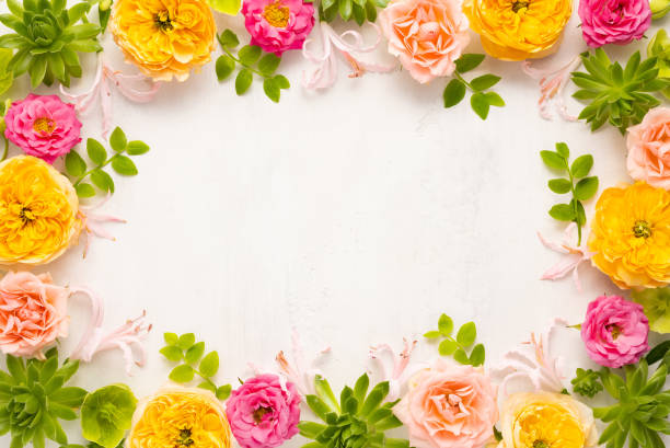istock Composition of beautiful flowers 1325601042