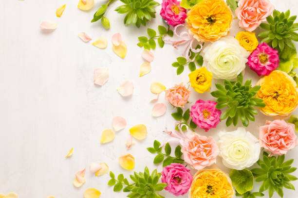 istock Composition of beautiful flowers 1325601043